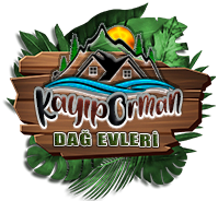 Kayıp Orman Dağ Evleri