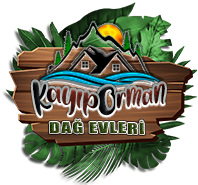 Kayıp Orman Dağ Evleri